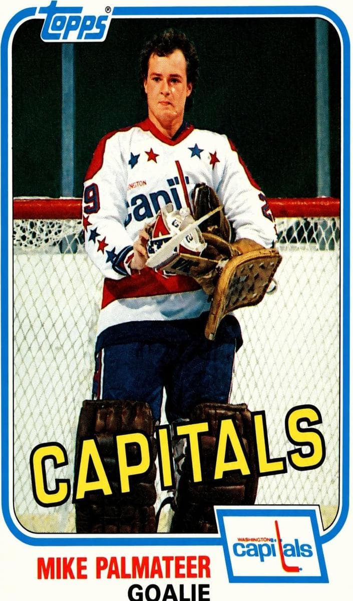 Mike Palmateer 1981 topps