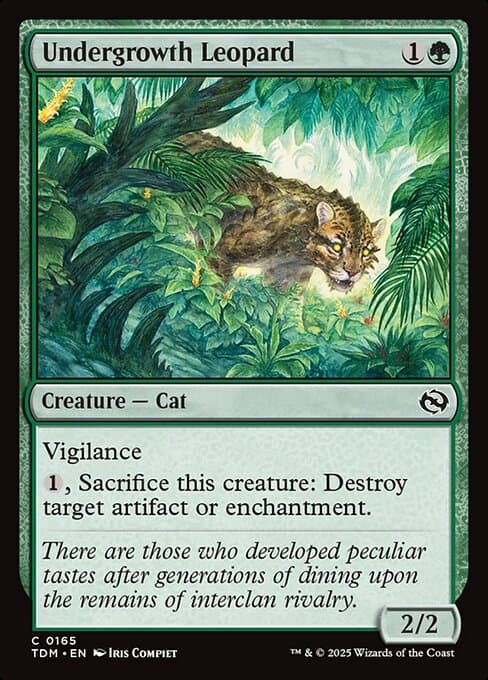 Undergrowth Leopard #165