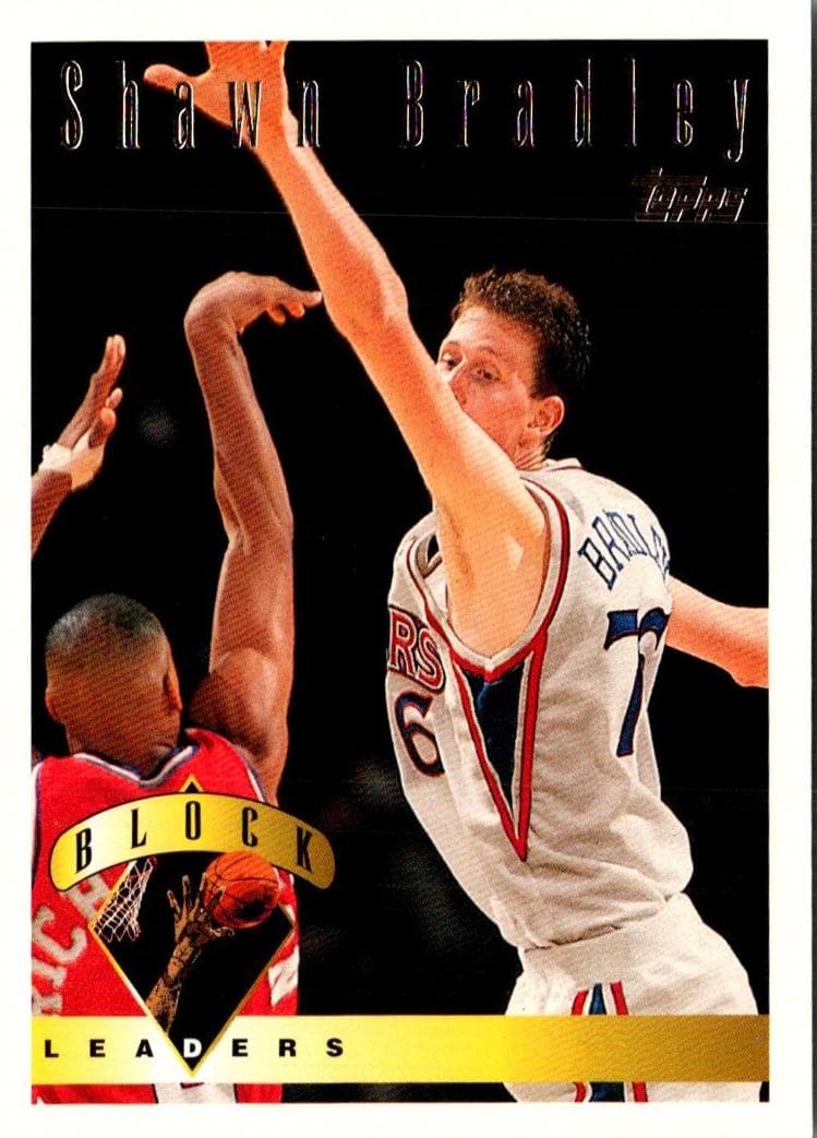 Shawn Bradley #28