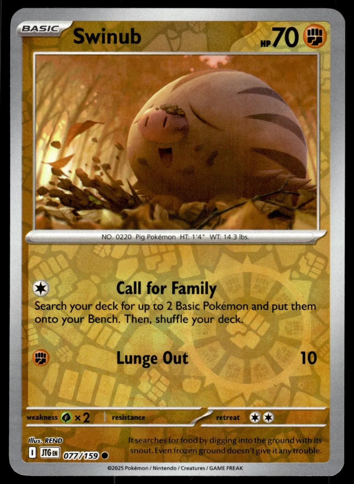 Swinub #77