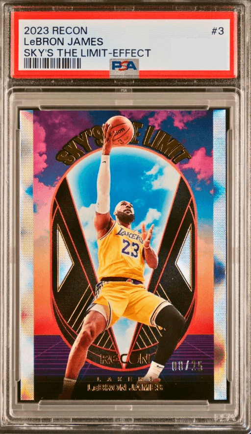 LeBron James #3