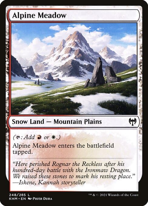 #248