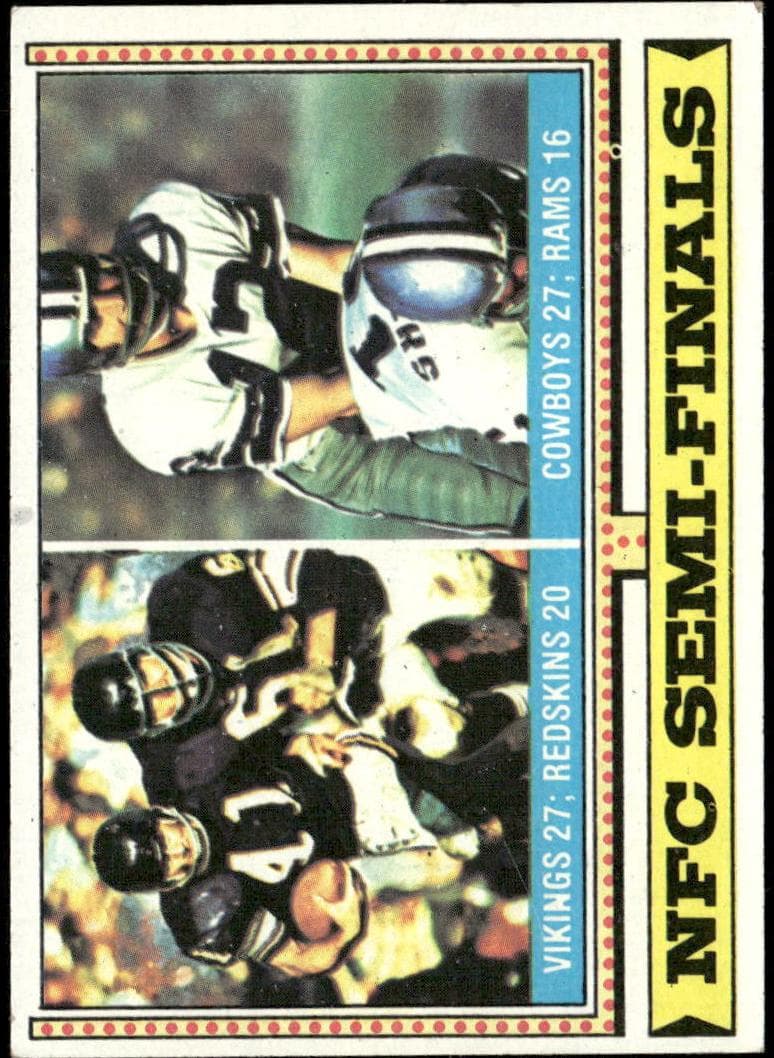 NFC Semi-Finals #461