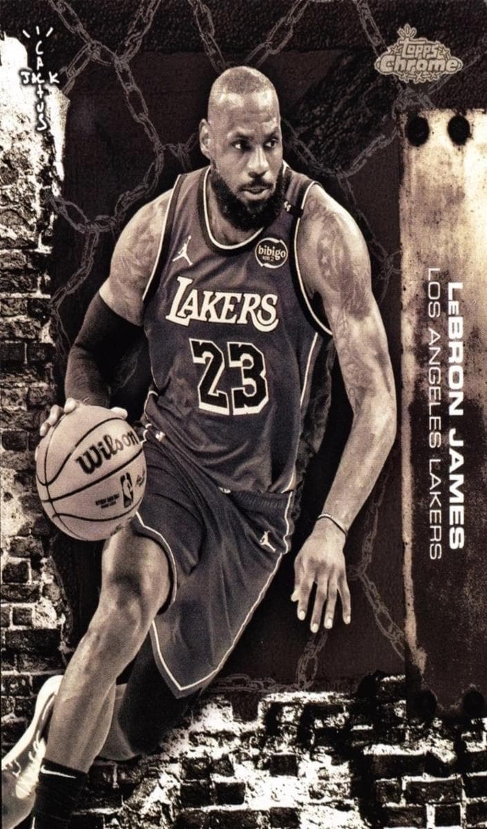 LeBron James #46