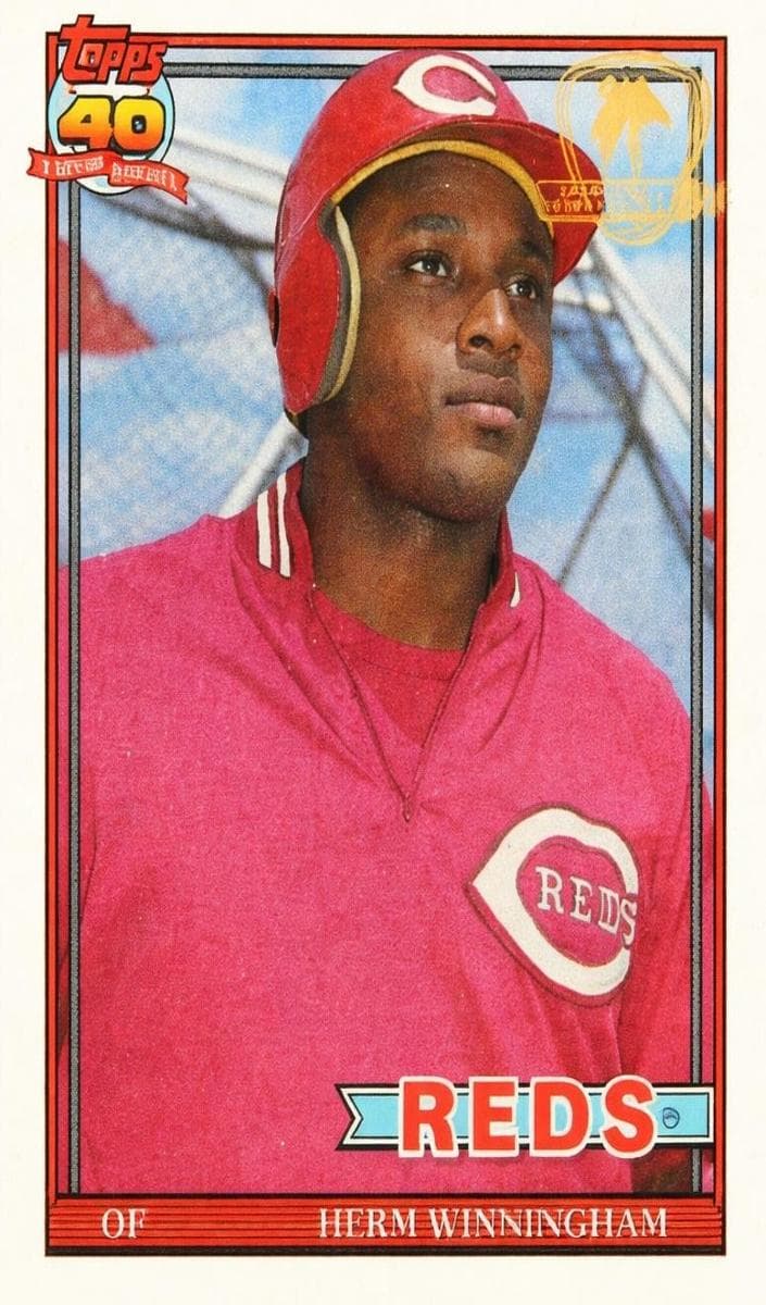 #204