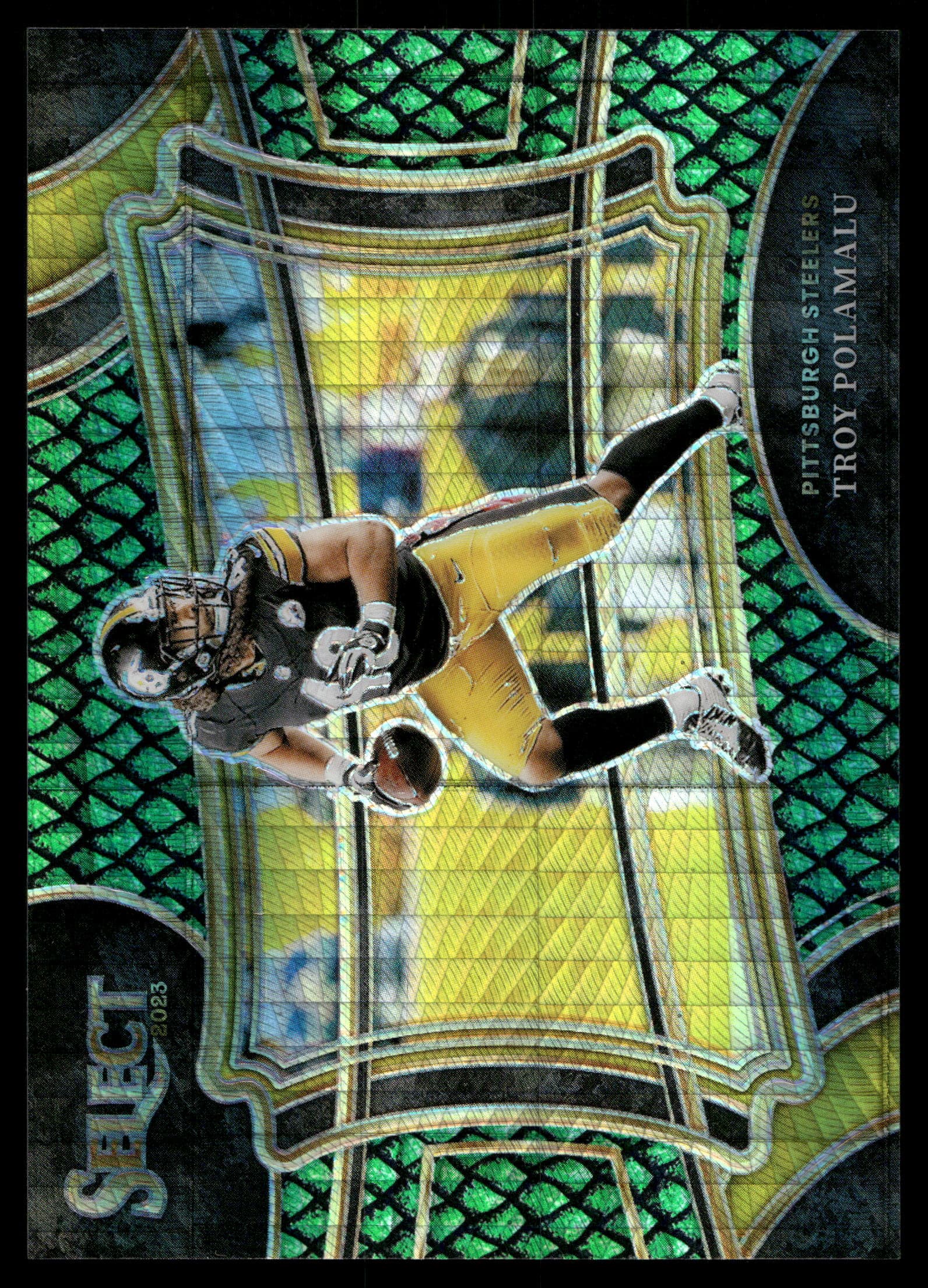 Troy Polamalu #380