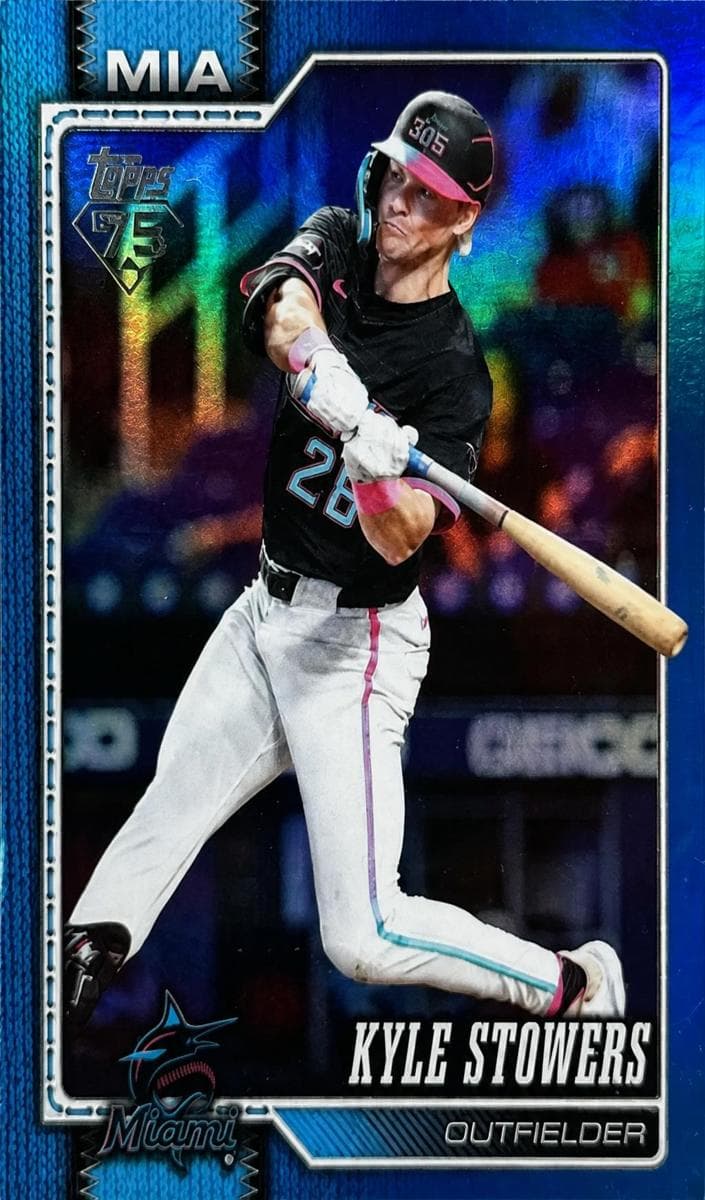 #293