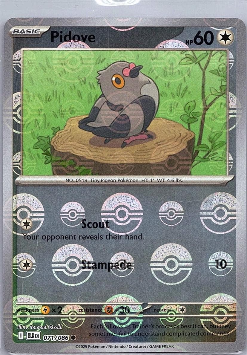 Pidove trading card