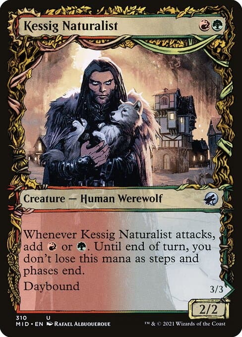 Kessig Naturalist & Lord of the Ulvenwald #310