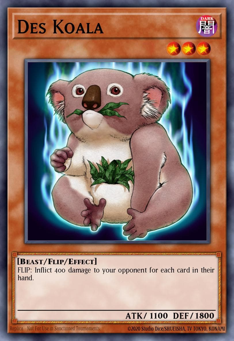 Des Koala #DEM1-EN010
