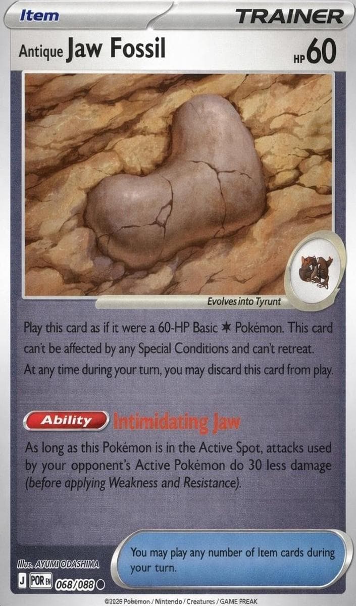 Antique Jaw Fossil #68