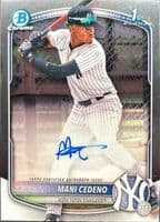 Mani Cedeno trading card
