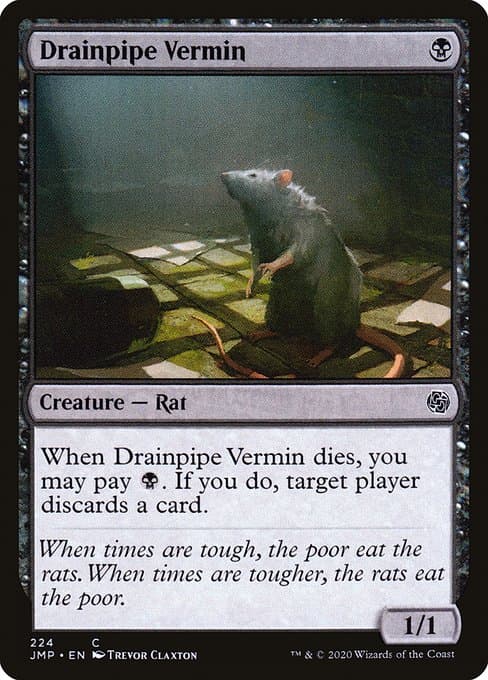 Drainpipe Vermin #66