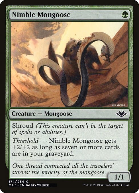 Nimble Mongoose #174