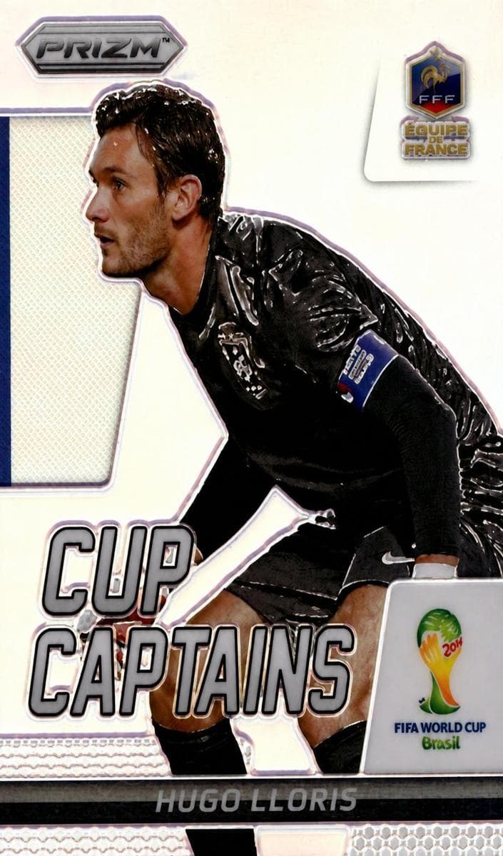 Asmir Begovic #4