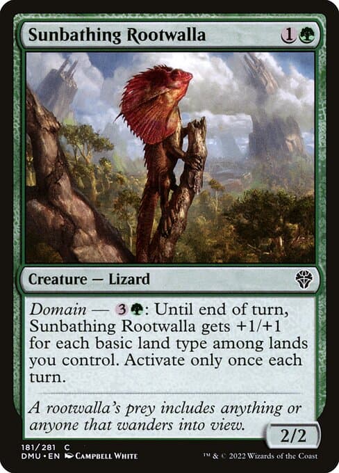 Sunbathing Rootwalla #181
