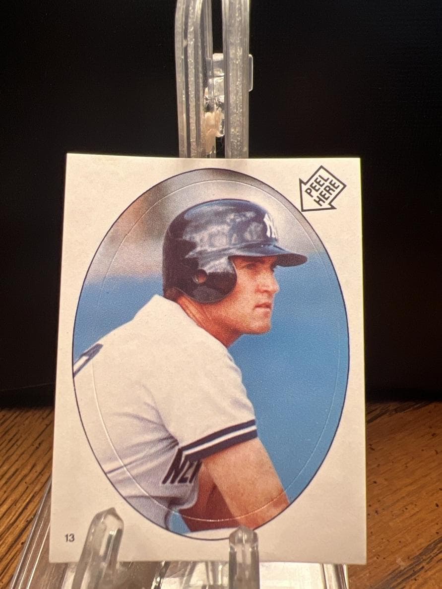 Graig Nettles #13