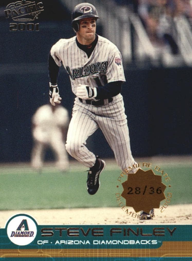 Steve Finley #21