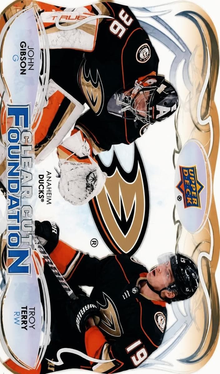 John Gibson/Troy Terry trading card