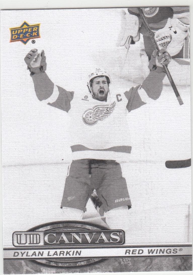 Dylan Larkin #C-44