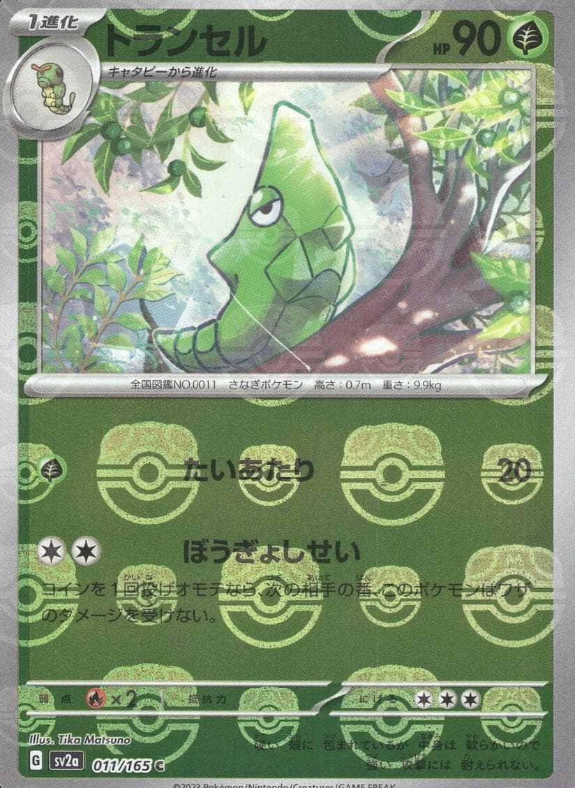 Metapod #11