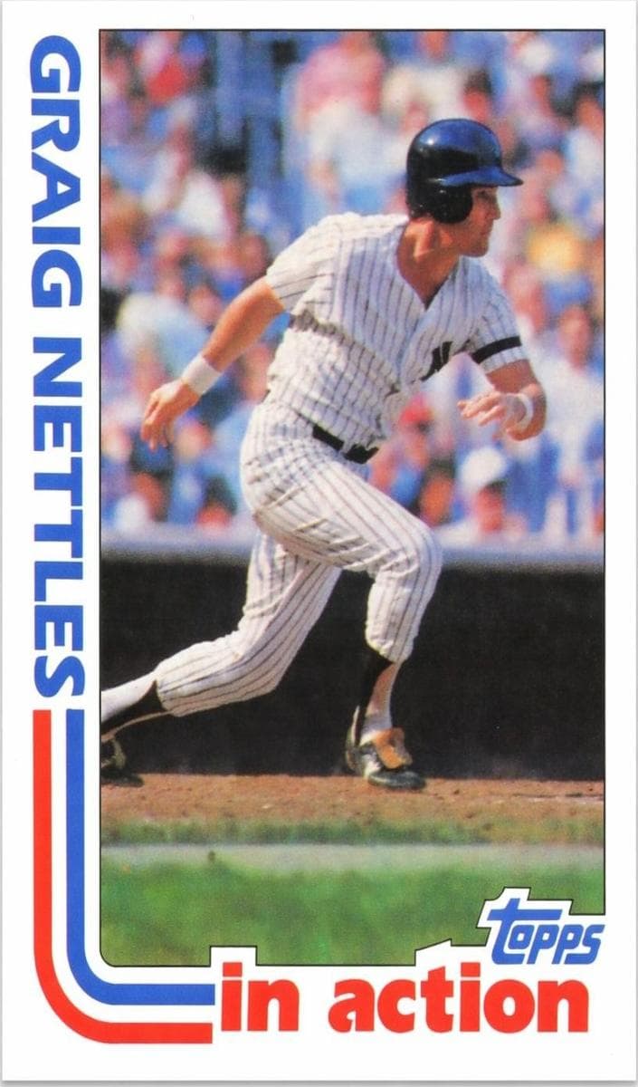 Graig Nettles #506