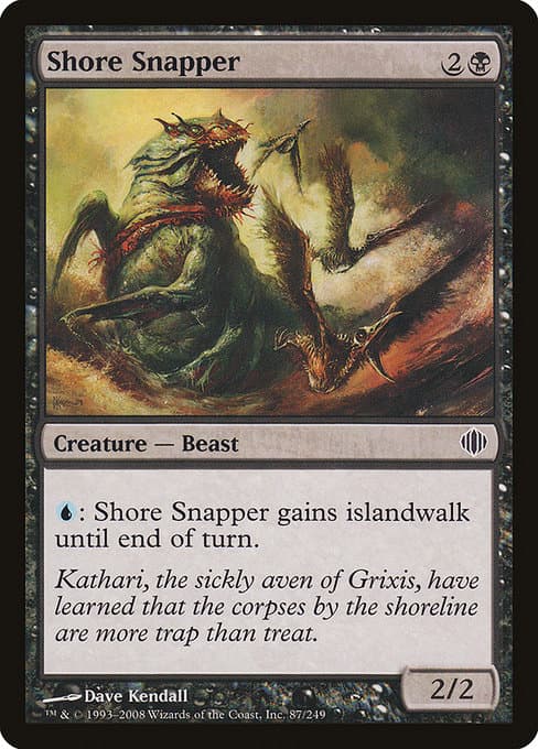 Shore Snapper #87