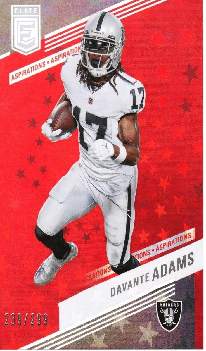 Davante Adams #24