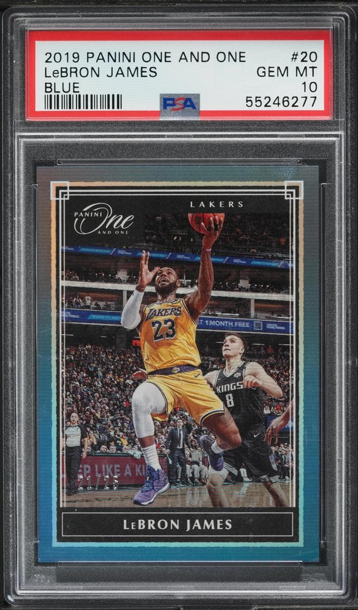 LeBron James #20