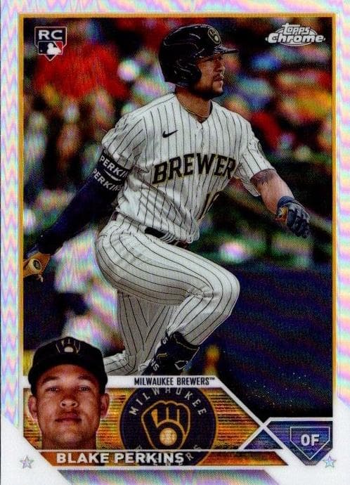 Blake Perkins trading card