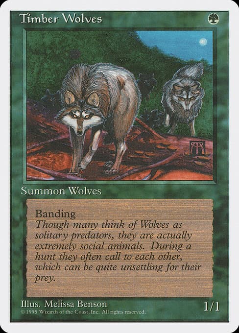 Timber Wolves #219