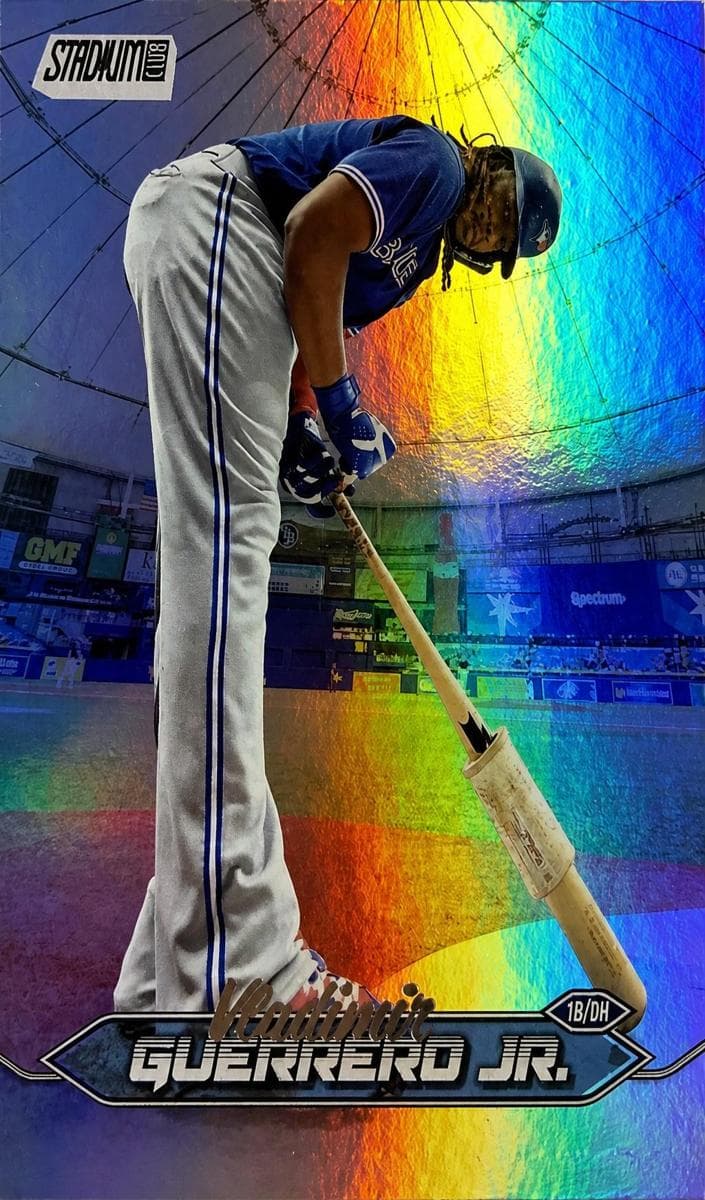 Vladimir Guerrero Jr. #290