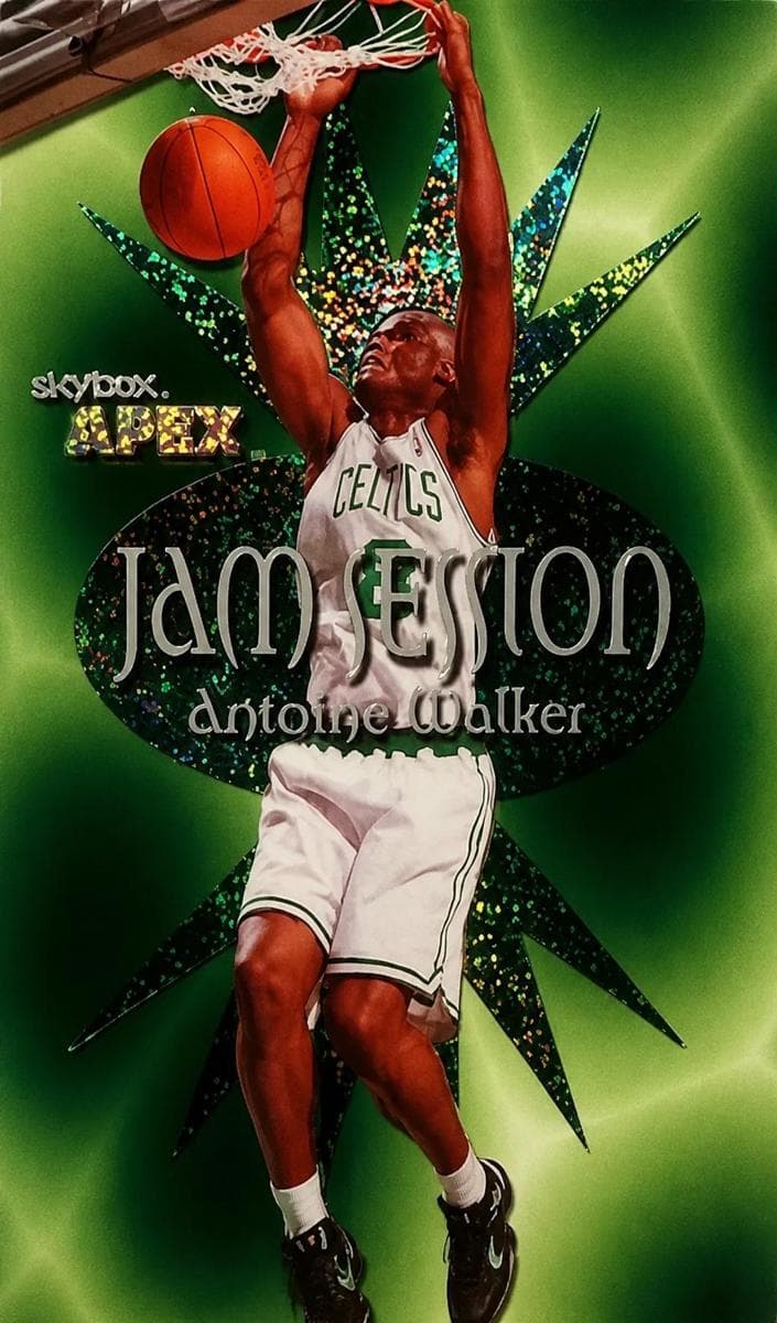 Antoine Walker #13 js