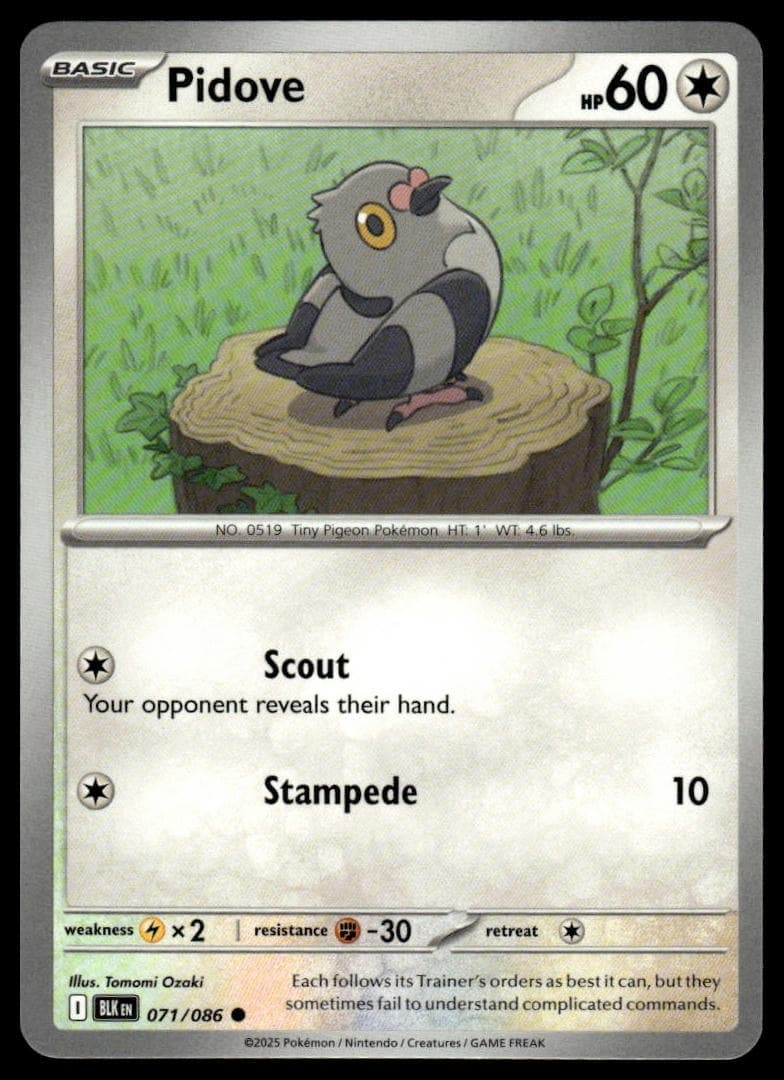 Pidove trading card