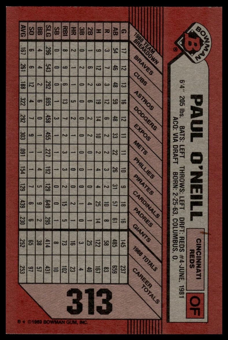 #313