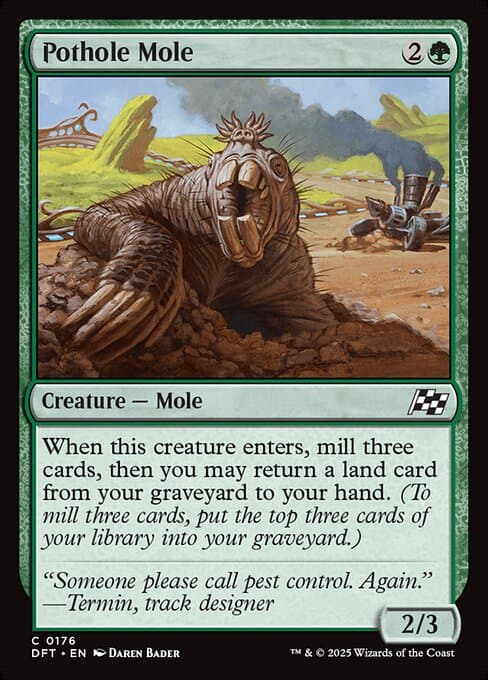 Pothole Mole #176