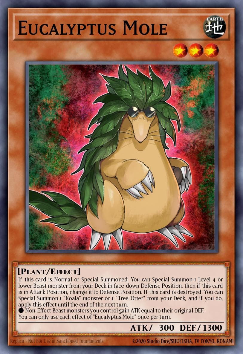 Eucalyptus Mole 2026 Yu-Gi-Oh! Maze of Muertos