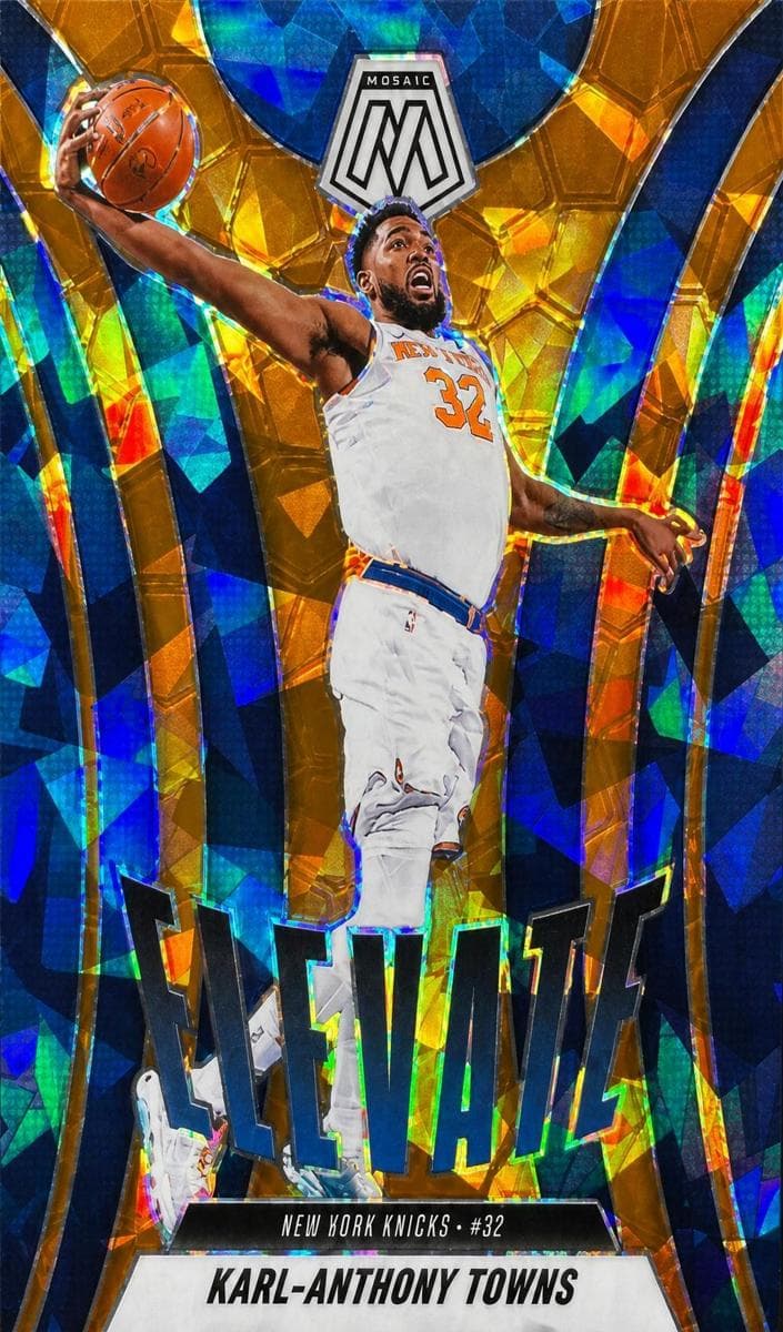 Karl-Anthony Towns #22