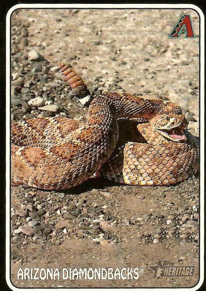 Arizona Diamondbacks trading card