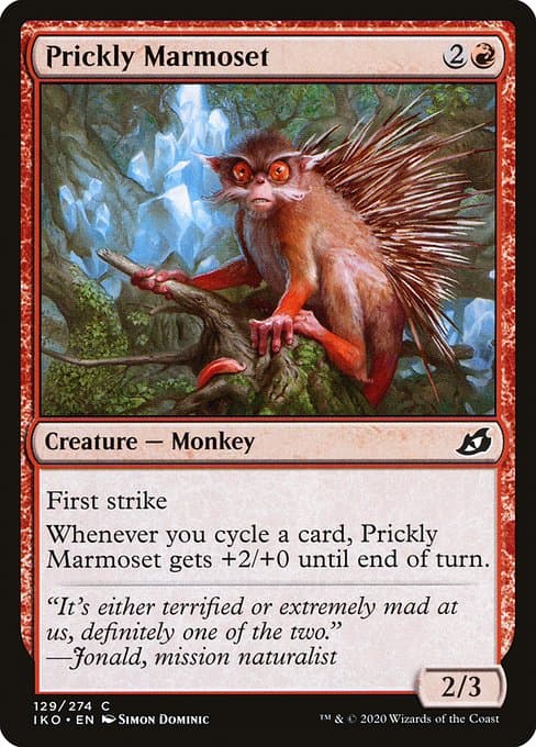 Prickly Marmoset #580
