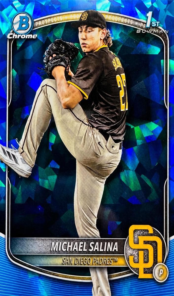 Michael Salina trading card