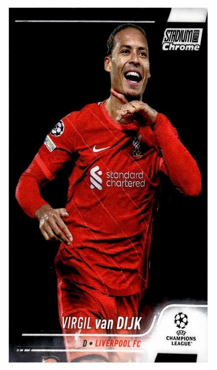 Virgil van Dijk #4