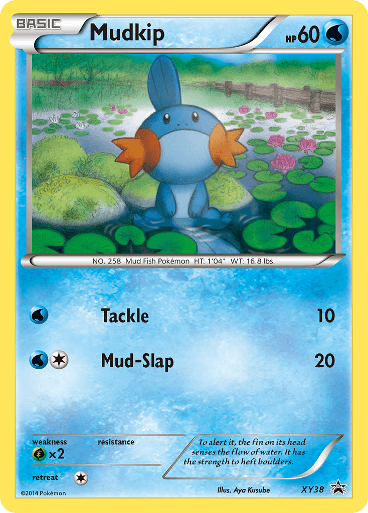 #29