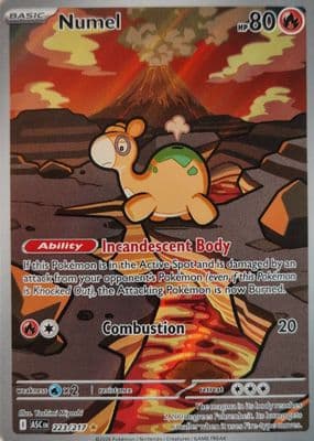 #223