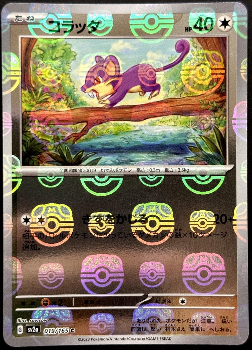 Rattata #19
