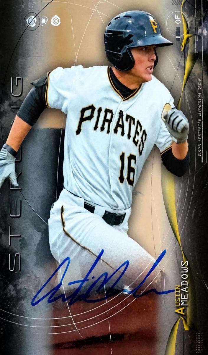 Austin Meadows 2014 bowman