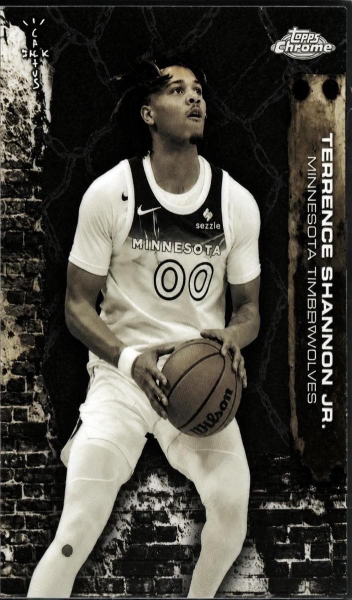 Terrence Shannon Jr. #34