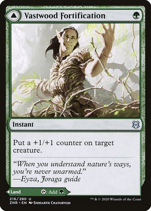 Vastwood Fortification & Vastwood Thicket 2020 Magic: The Gathering Zendikar Rising