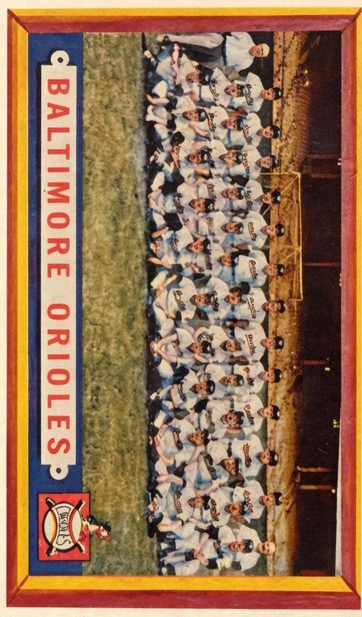 Baltimore Orioles Team Card #251