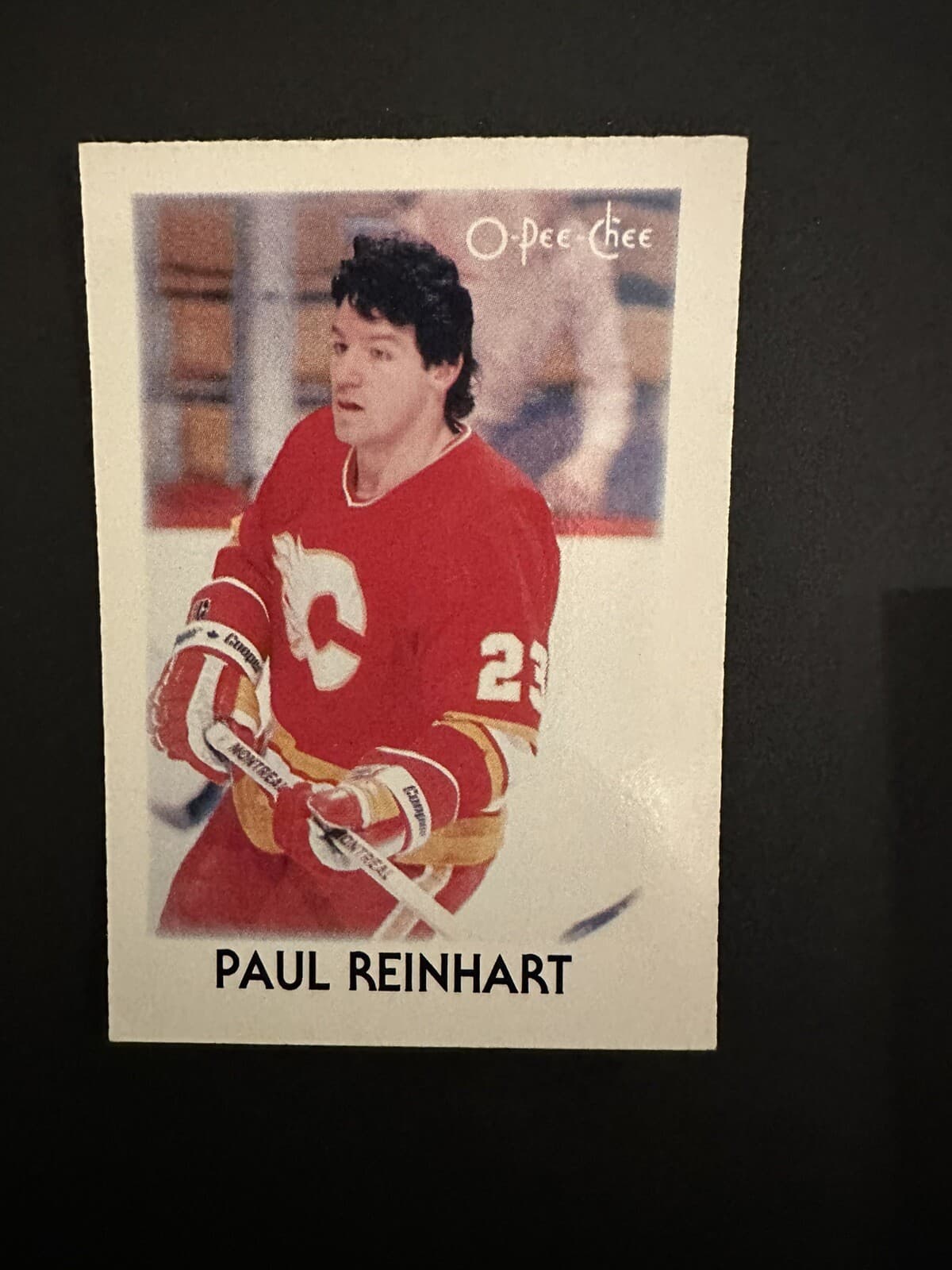 Minis Paul Reinhart 1987 O-Pee-Chee 1987 O-Pee-Chee